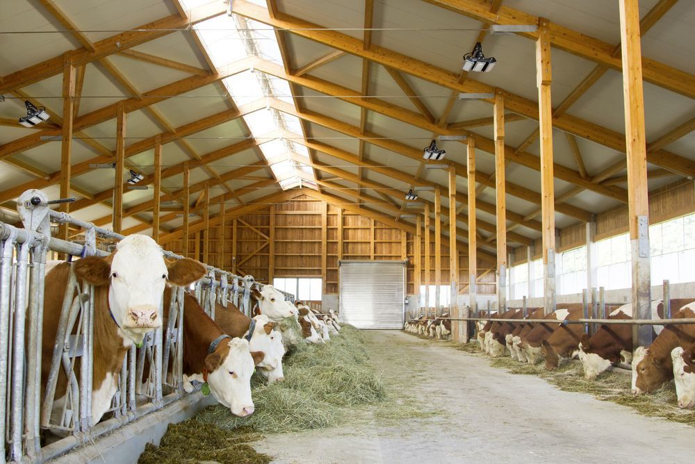 MultiLED pro 150W, stabiel licht