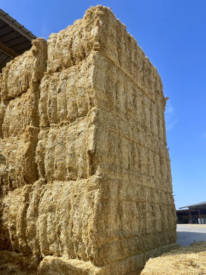 Häckselstroh 1-4cm Spanien