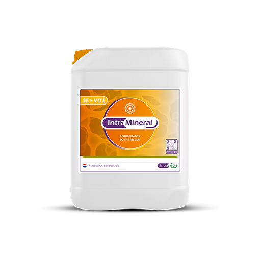 Intra Mineral Se + Vit E